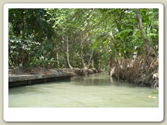 Marché_flotant (39)