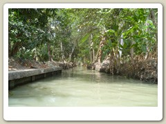 Marché_flotant (40)