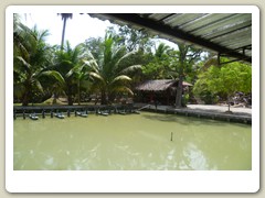 Marché_flotant (48)