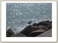 la grande motte (21)