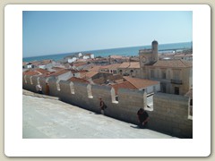 la grande motte (47)