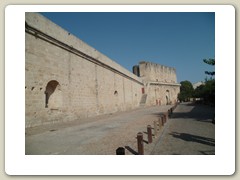 la grande motte (60)