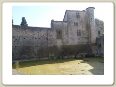 la grande motte (61)