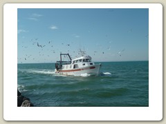 la grande motte (79)