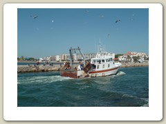 la grande motte (80)