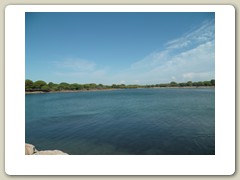 la grande motte (84)